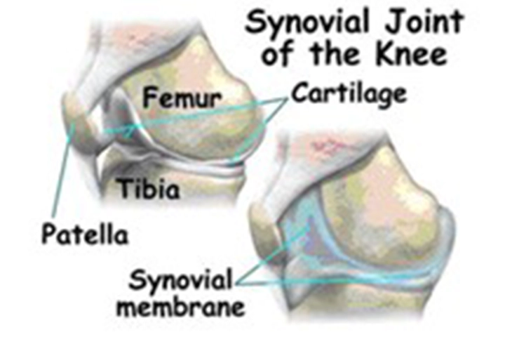 Knee Arthroscopy & ACL Surgery