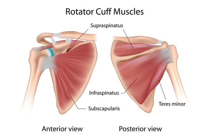 Rotator Cuff Surgery