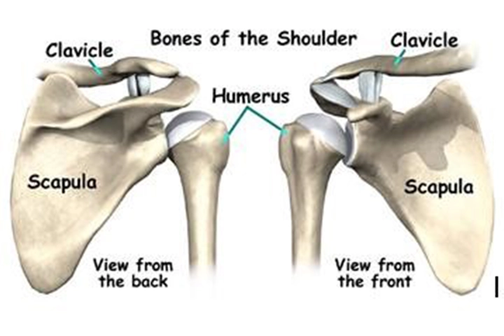 Knee Arthroscopy & ACL Surgery